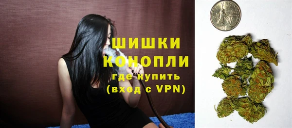 винт Мегион