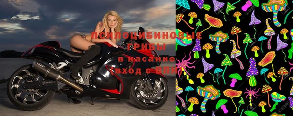 МДПВ Медвежьегорск