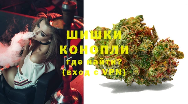 винт Мегион