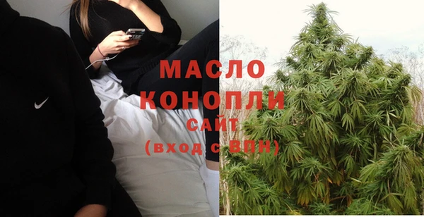 молекула духа Медногорск
