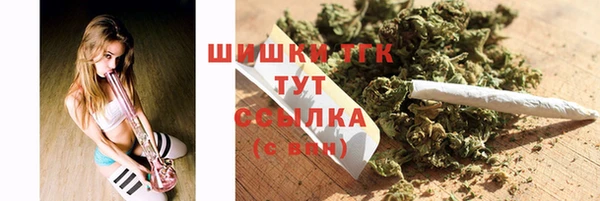 винт Мегион