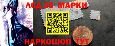 индика Боровичи
