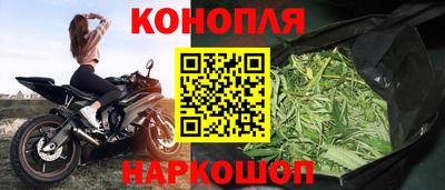 бошки Брянск