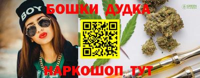индика Боровичи