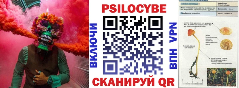 Псилоцибиновые грибы мицелий  нарко площадка Telegram  Нарьян-Мар 