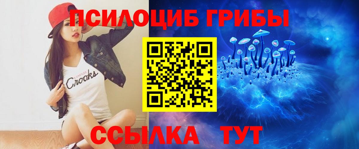 Галлюциногенные грибы MAGIC MUSHROOMS  Вход с VPN  Нарьян-Мар  Псилоцибиновые грибы GOLDEN TEACHER 